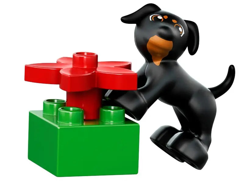 LEGO Duplo 10572 All in One Box of Fun Building Kit for Toddlers and Preschooler