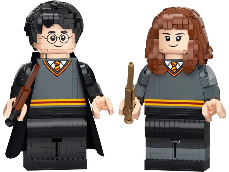 LEGO Harry Potter Wizarding World 76393 Harry Potter & Hermione Granger Toy Set