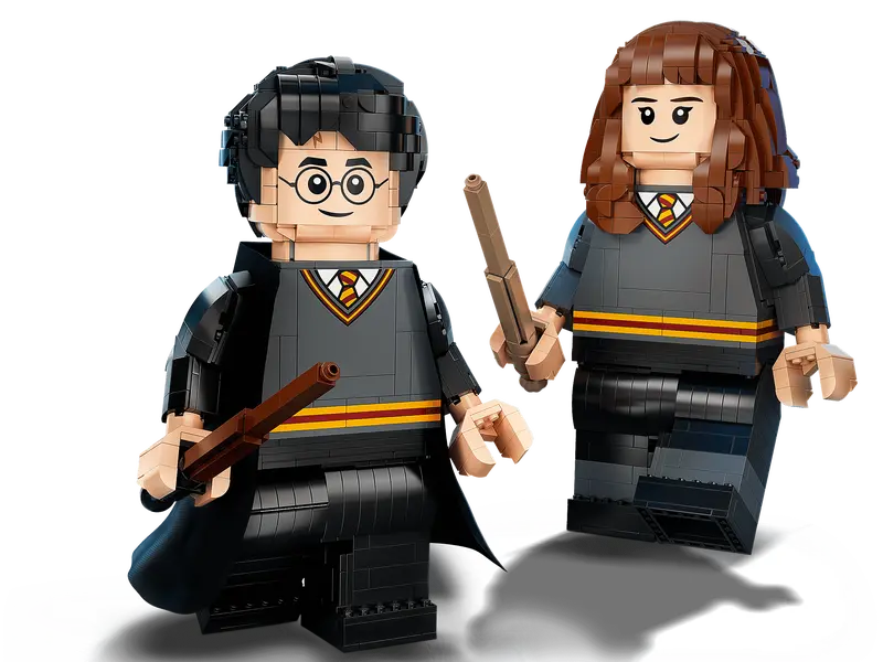 LEGO Harry Potter Wizarding World 76393 Harry Potter & Hermione Granger Toy Set